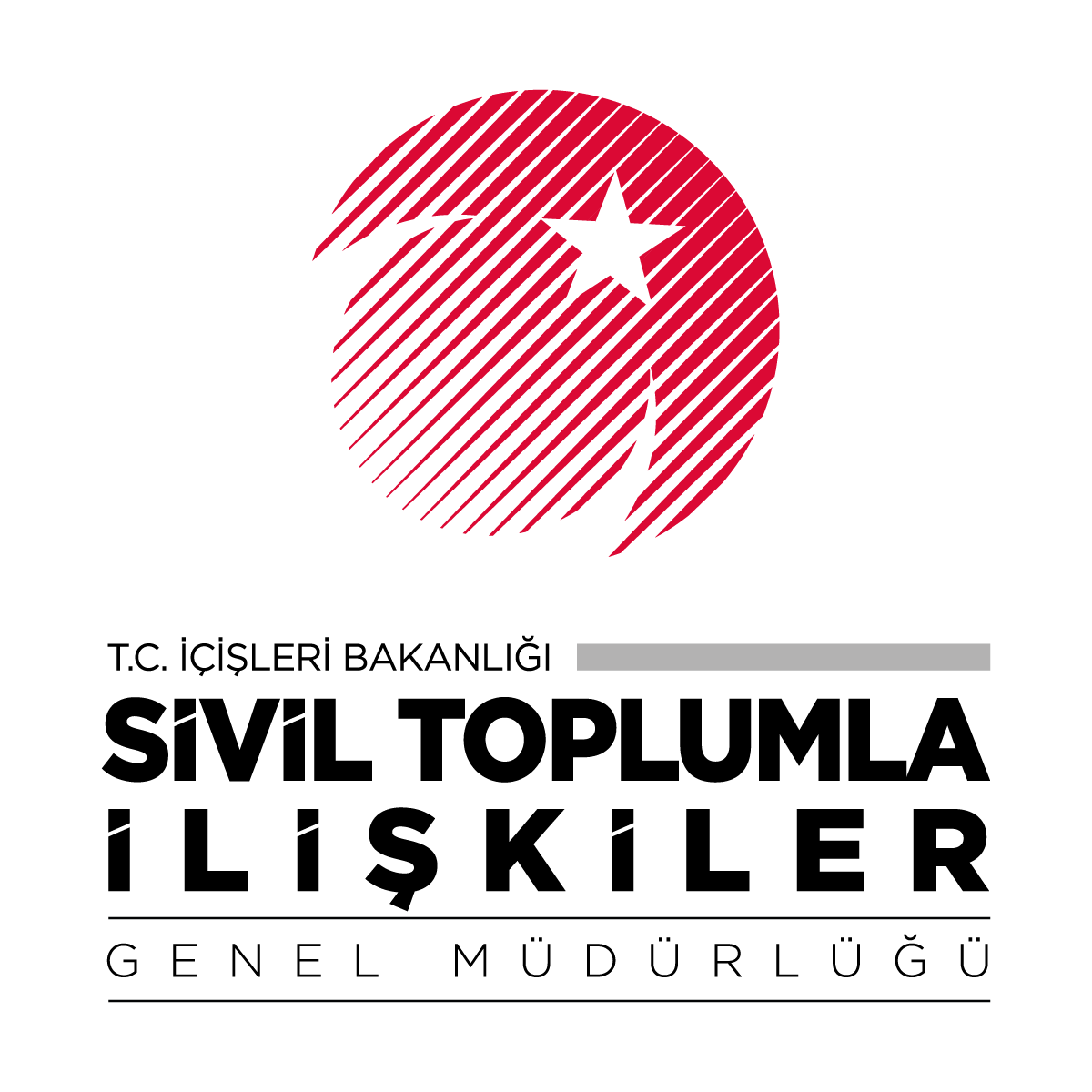 STI_Logo